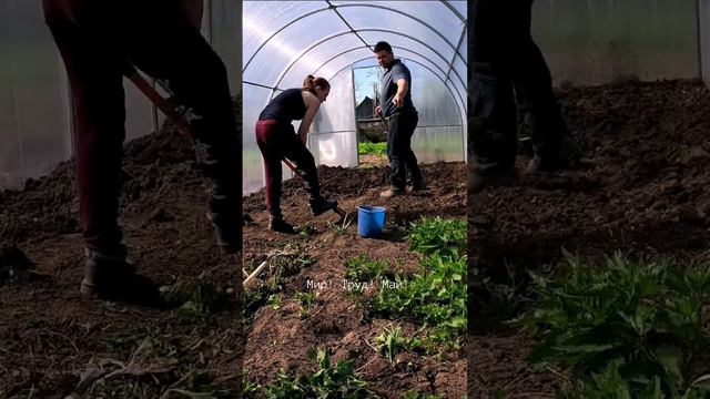 Как мы весной теплицу ставили