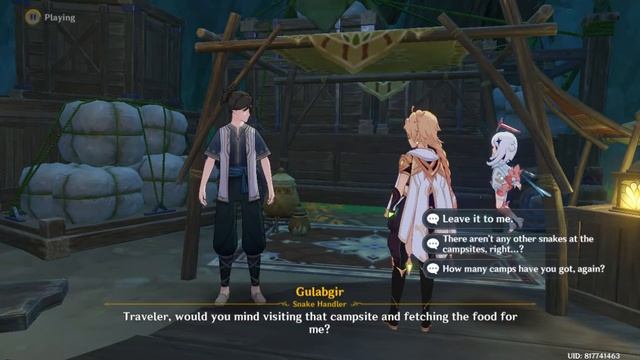 Genshin Impact - Sumeru Commission - Project Baby 1: Talk To Gulabgir - Rockslide Camp (Shabby Rack смотреть онлайн