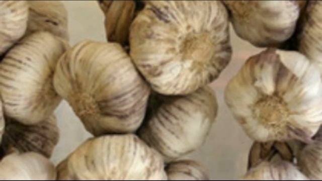 Чеснок рокамболь выращивание, уход смотреть онлайн