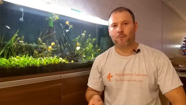 ? A Importância do Substrato no Equilíbrio do Aquário смотреть онлайн