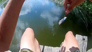 на зимнюю удочку летом