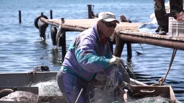 Профессия – рыбак: Как добывают камбалу-калкана у берегов Крымского полуострова