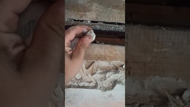 про стену в сталинке. 