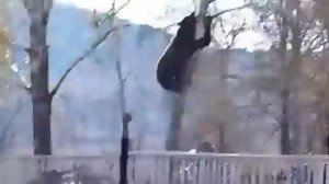 Медведь лезет за мужиком на дерево