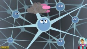 Правдивая реклама антидепрессантов и их реальное назначение... (ШОК, ВСЯ ПРАВДА)