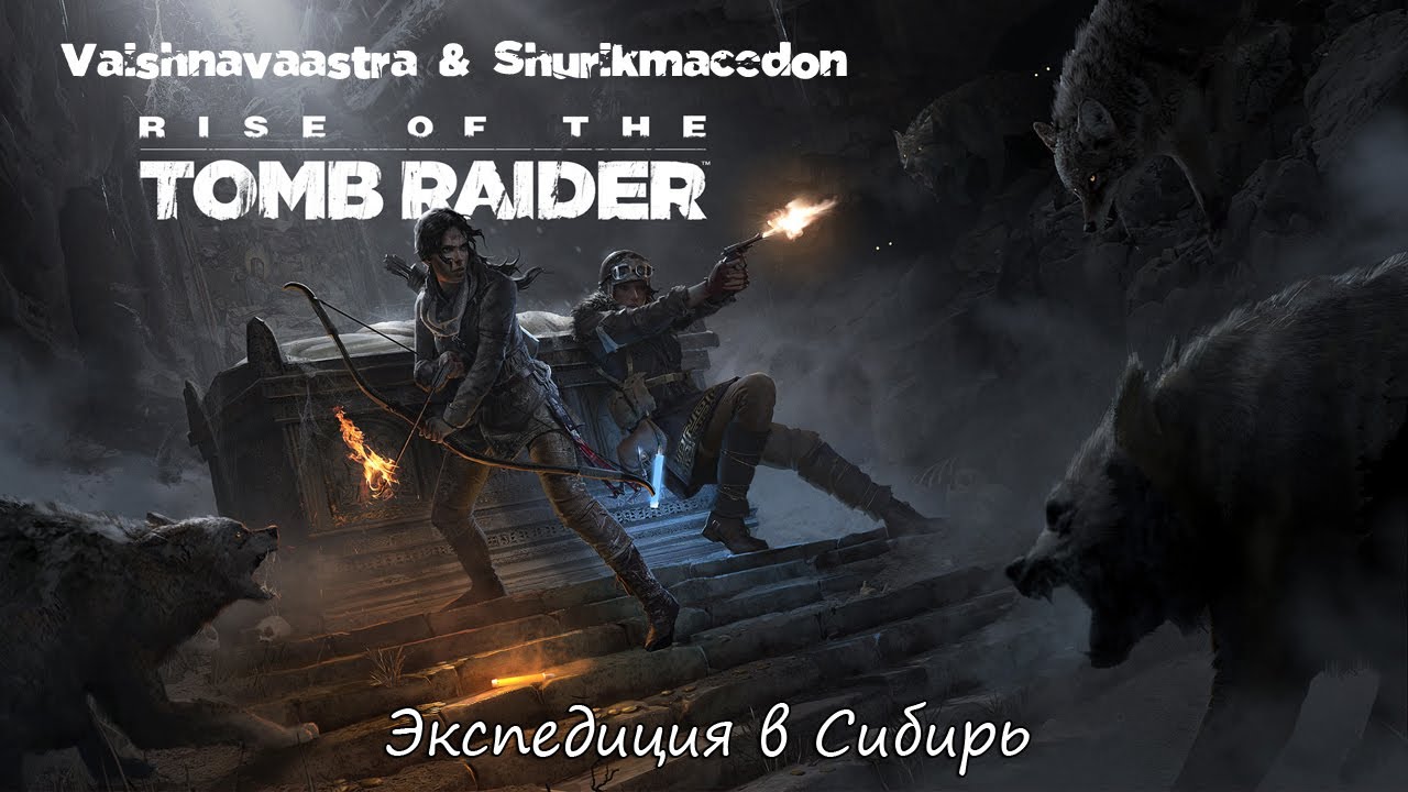 Rise of the Tomb Raider - Endurance в кооперативе