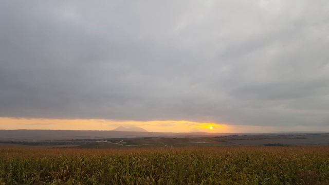 Духовная Интеграционика смотреть онлайн