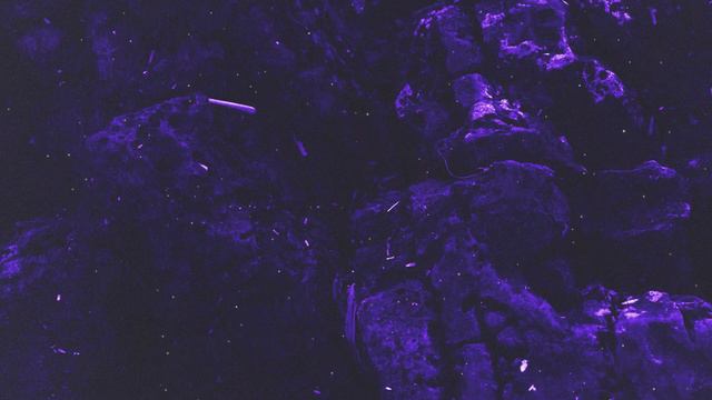 [ 1 HOUR ] Phonk Killer - Trunk (lyrics)  bubble bath and get my 44 up off the dresser смотреть онлайн