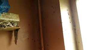 Уничтожение тараканов в любых условиях. 1.