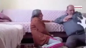 Кошка защищает хозяйку