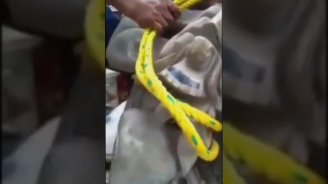 Доказательства существования Инопланетян
