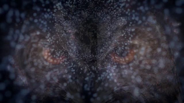 Остановка Внутреннего Диалога! Практика на Каждый день!