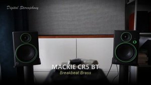 Adam Audio T5V vs Mackie CR5 BT || 5 Tracks Comparison