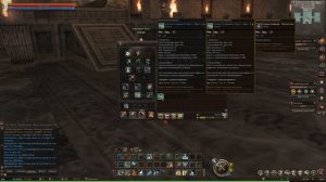 Некромант БЕЗ ДОНАТА / Пилотный выпуск / Lineage 2 Essence