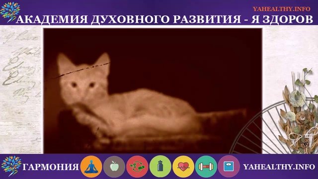 Энергетические нюансы уюта|Энергия дома