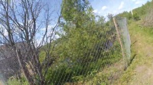 загон для гусей