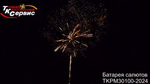TKPM30100 2024