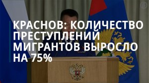 Краснов: число совершенных мигрантами преступлений выросло на 75%