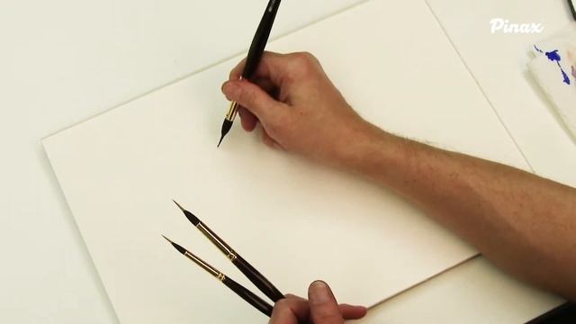 Pinax POSEIDON Reservoir Liner 812 Белка Микс смотреть онлайн