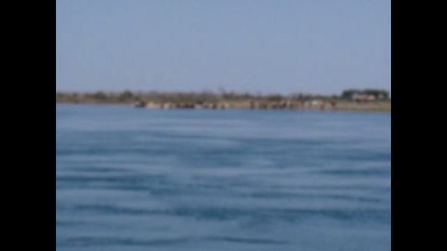 Сплав на плотах . Сплав по реке Или. River boat expedition. смотреть онлайн