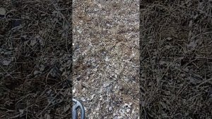 металлоискатель AS 944 3м грунт баланс