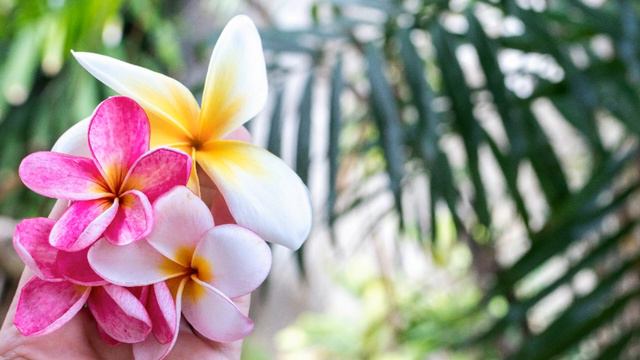 Relaxing Music - Bali Relaxing Music #bali #relaxing #relaxmusic