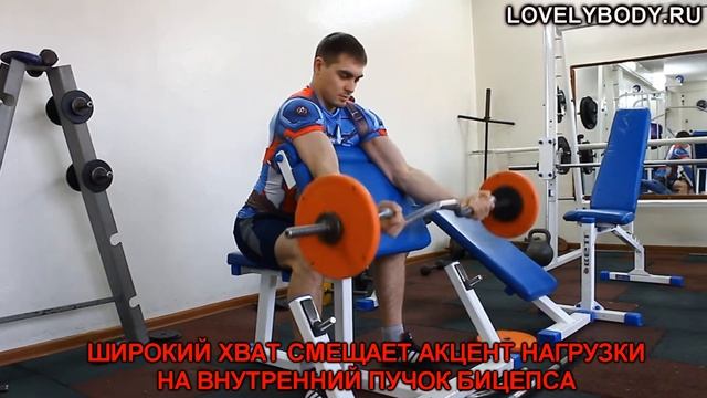 Сгибание рук на бицепс на скамье Скотта. Техника выполнения, разновидности, ошибки. смотреть онлайн
