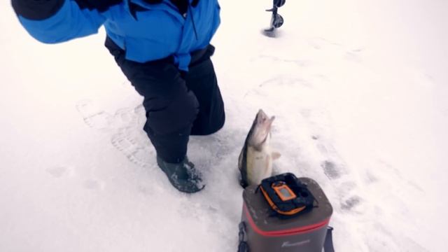 СУДАКИ МОНСТРЫ НА ОТКРЫТИИ! ПОБИЛИ РЕКОРД? ICE ZANDER BOLT OPEN с МОГУЧУДМУРТ! смотреть онлайн