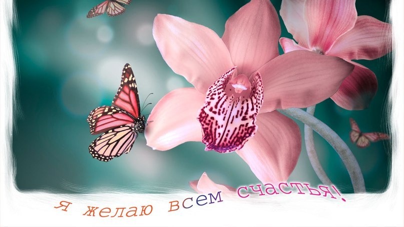 Молитва за мир во всем мире! Live: Сеанс пожелания счастья. Онлайн-ретрит «Благость» 11.05.2023