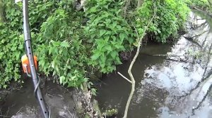 РЕАЛЬНЫЙ ПОИСК с металлоискателем QUEST X5