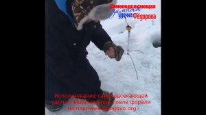 Самоподсекающая зимняя удочка Фёдорова при ловле форели