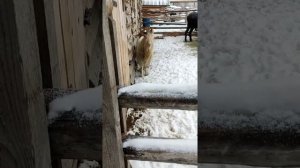 Парк сказов 2022 в поселке Арамиль Свердловской области УРФО России