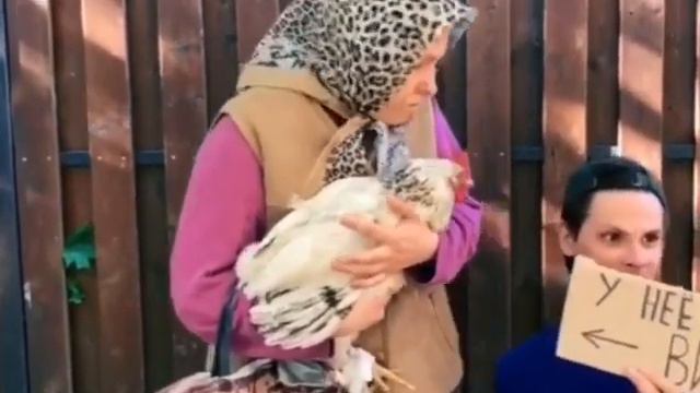 БАБУШКА И НЕФЕРТИНА GAN_13 смотреть онлайн