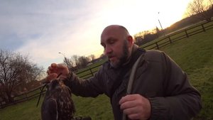 Хищные птицы Москвы. 0015