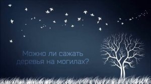 Ринат Абу Мухаммад  Можно ли сажать деревья на могилах
