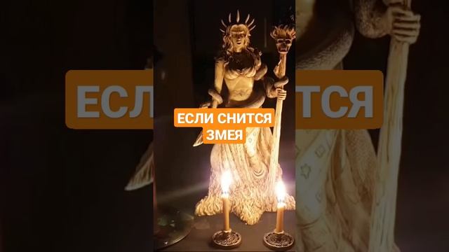 ЕСЛИ СНИТСЯ ЗМЕЯ #ингахосроева #магия #сон #сонник #змея #змеи #shorts #shortvideo #short