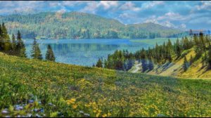 Дух Святой прикоснись ко мне Своим теплом