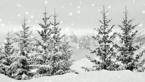 Футаж. Зимний пейзаж 33