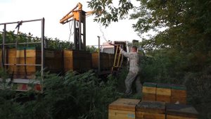 Пчеловодческий Манипулятор.  разлаживаю. Ч -1