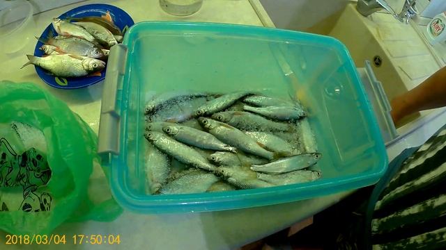 Сухой посол мелкой рыбы смотреть онлайн