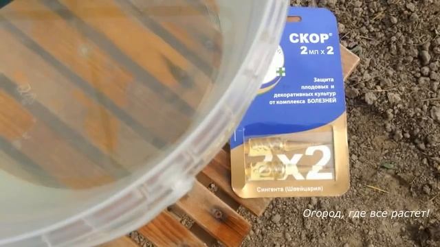 240. Как подготовить ТЕПЛИЦУ к новому сезону. Дела осенью. смотреть онлайн