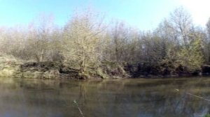 Мини отчёт с рыбалки на р.Шешма . Выбрался на рыбалку во время самоизоляции.