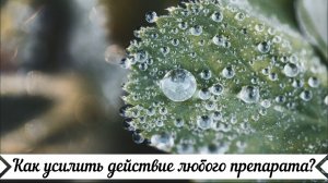 Увеличить эффективность любых препаратов возможно с помощью ПРП БИОМАГНЕТИК!