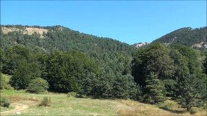 На Роман-Кош!.wmv