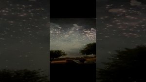 Фестиваль фейерверков 14.08.22