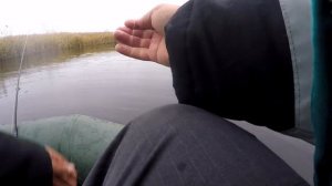 Последняя рыбалка 2022