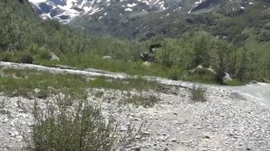 Долина реки Мырды. Альплагерь Узункол