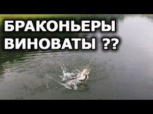 Щука карлик, что с ней!?? Ловля окуня и щуки на водохранилище