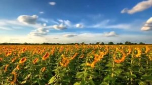 Вокальный ансамбль культурного центра ГУ МВД России по Красноярскому краю