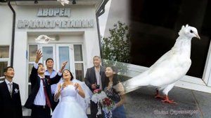 Калмыцкая Свадьба (Стас и Айта)